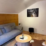 Cozy Near Aletsch Arena *