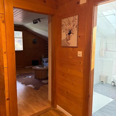 Cozy Near Aletsch Arena