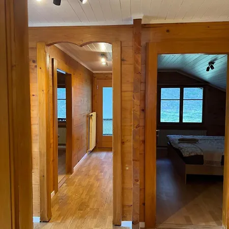 Daire Cozy Near Aletsch Arena *