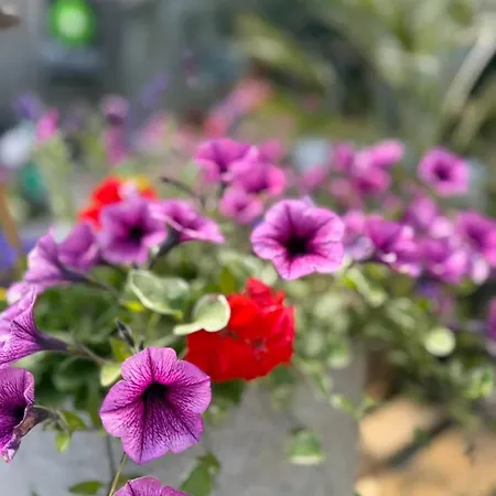 Cozy Near Aletsch Arena 莫雷尔