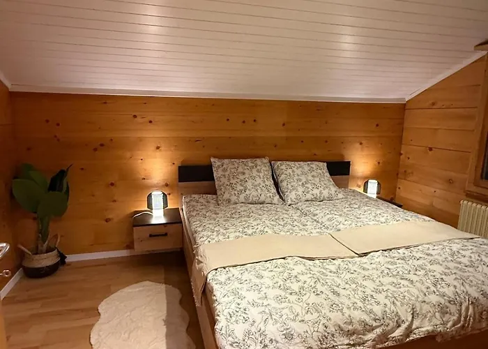 Daire Cozy Near Aletsch Arena *