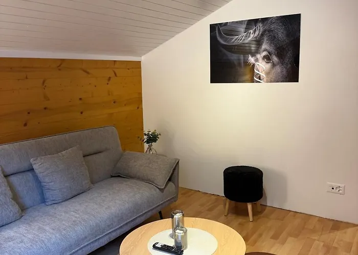 Cozy Near Aletsch Arena *