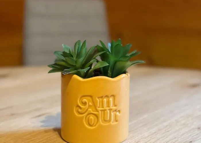 Cozy Near Aletsch Arena * 莫雷尔