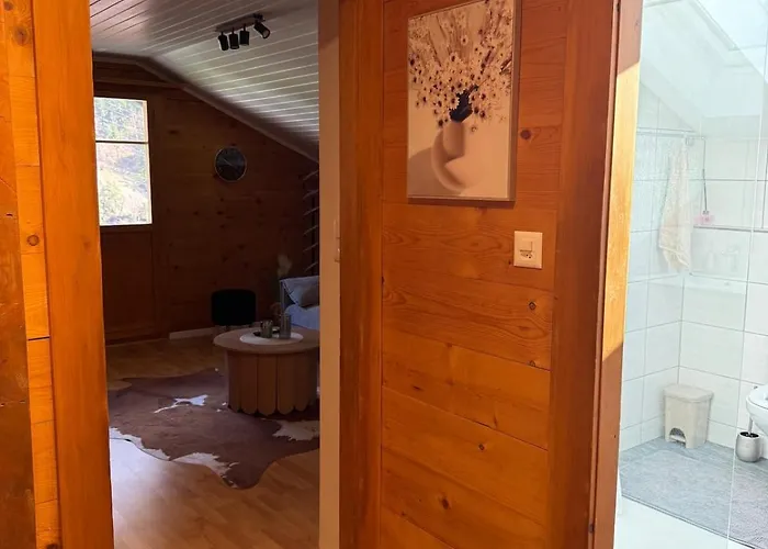 Cozy Near Aletsch Arena