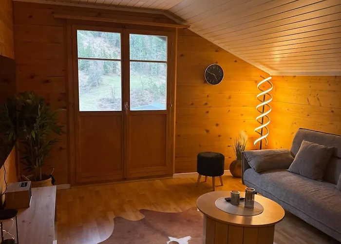 Daire Cozy Near Aletsch Arena