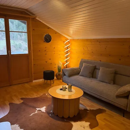 Apartament With Mountain View ,near Aletsch Arena *